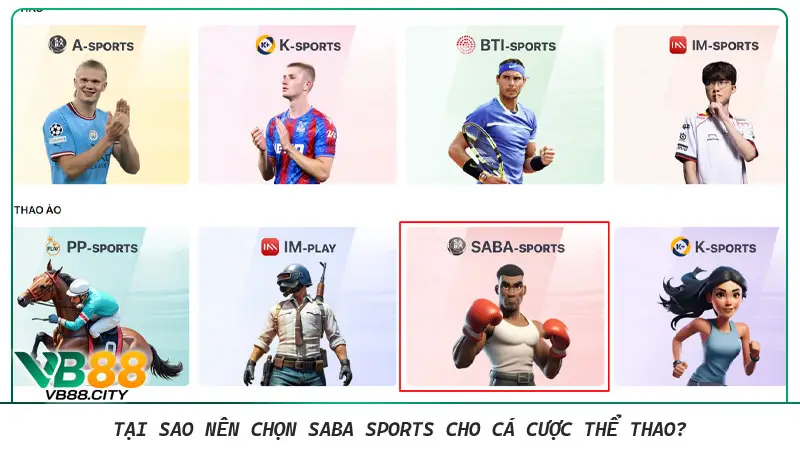 SABA Sports và SABA Cricket: Cách mạng hóa cá cược thể thao Tại sao nên chọn SABA Sports cho cá cược thể thao?